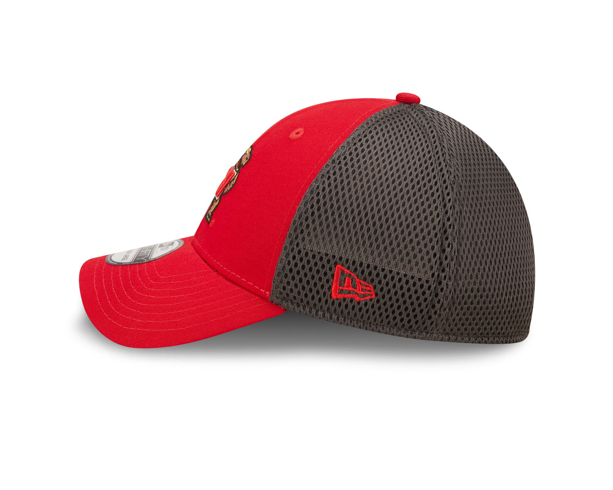 Maryland Terrapins New Era Red/Graphite Team Neo 39THIRTY Flex Hat product image 4, provided for visual reference and