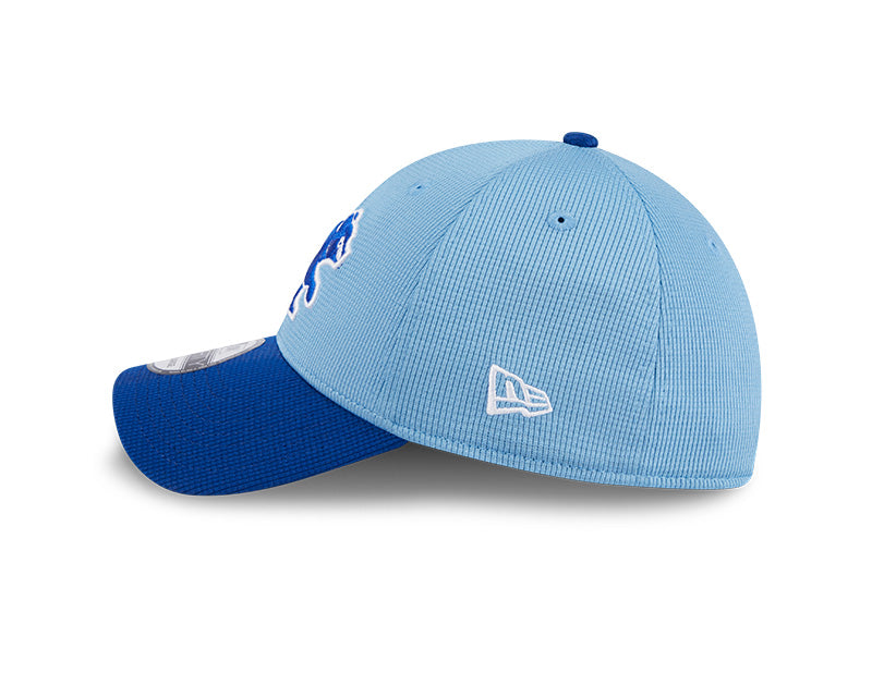 Chicago Cubs New Era Blue Spring Training 39THIRTY Flex-Fit Hat for Men product image 4, provided for visual reference and