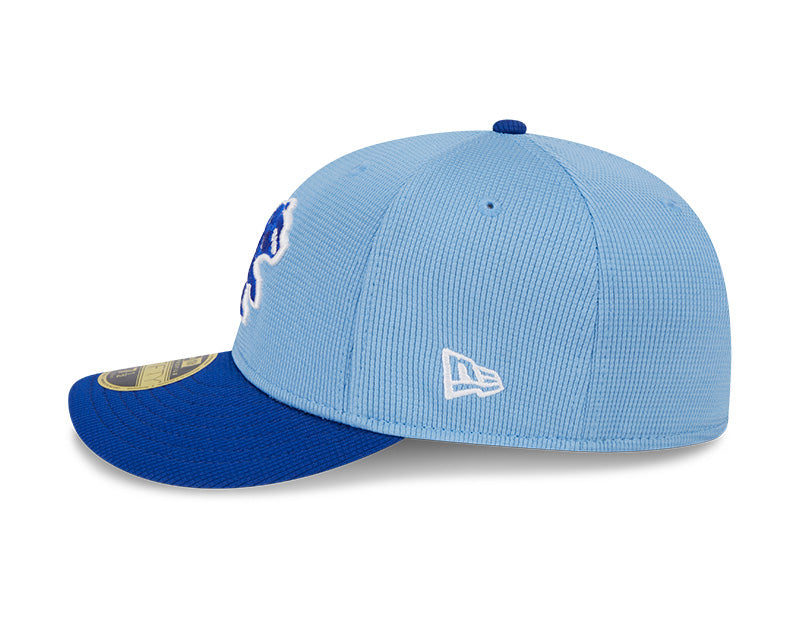 Chicago Cubs New Era Blue Spring Training Low Profile 59FIFTY Fitted Hat product image 4, provided for visual reference and