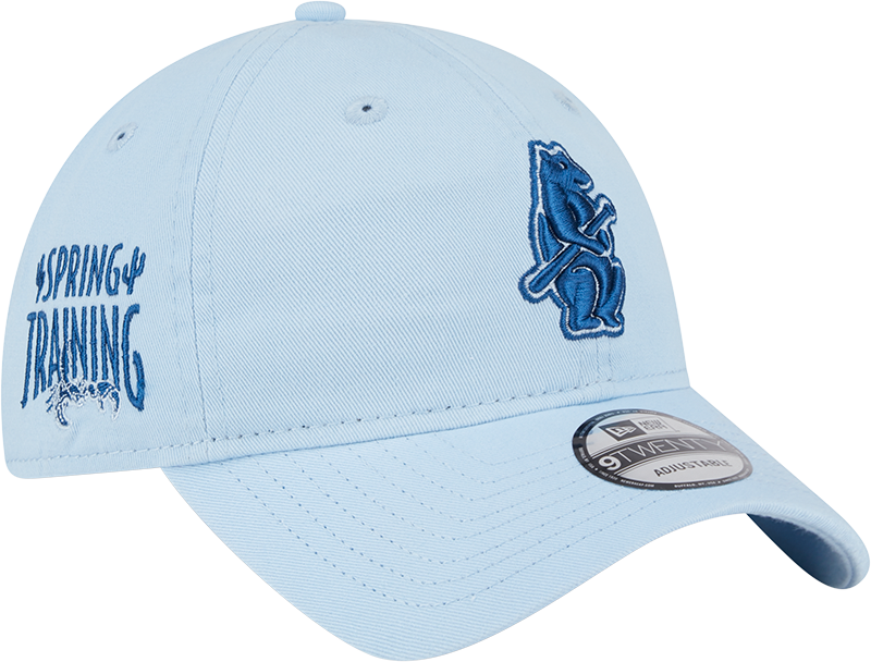 Chicago Cubs New Era Sky Blue 1914 Spring Training 9TWENTY Adjustable Hat product image 3, provided for visual reference and