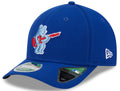 Chicago Cubs New Era Royal 2025 Batting Practice Alternate Player Replica 9FORTY M-Crown Adjustable Hat product image 1,