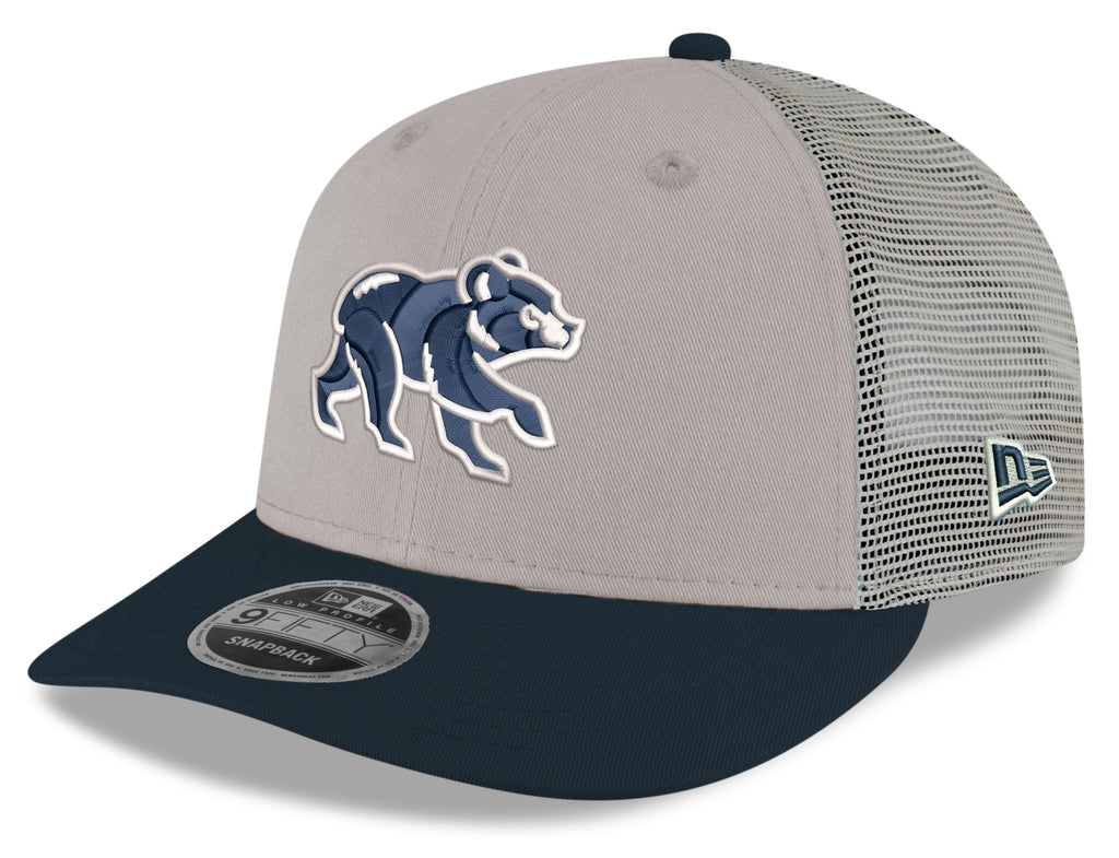 Chicago Cubs New Era Stone/Navy Spring Training Bear Low Profile 9FIFTY Mesh Back Snapback Adjustable Hat product image 1,