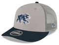 Chicago Cubs New Era Stone/Navy Spring Training Bear Low Profile 9FIFTY Mesh Back Snapback Adjustable Hat product image 1,