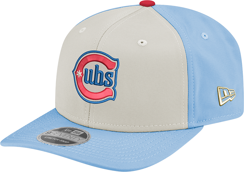 Chicago Cubs New Era Alternate 2 Chrome/ Sky Blue 9SEVENTY Hat product image 3, provided for visual reference and product