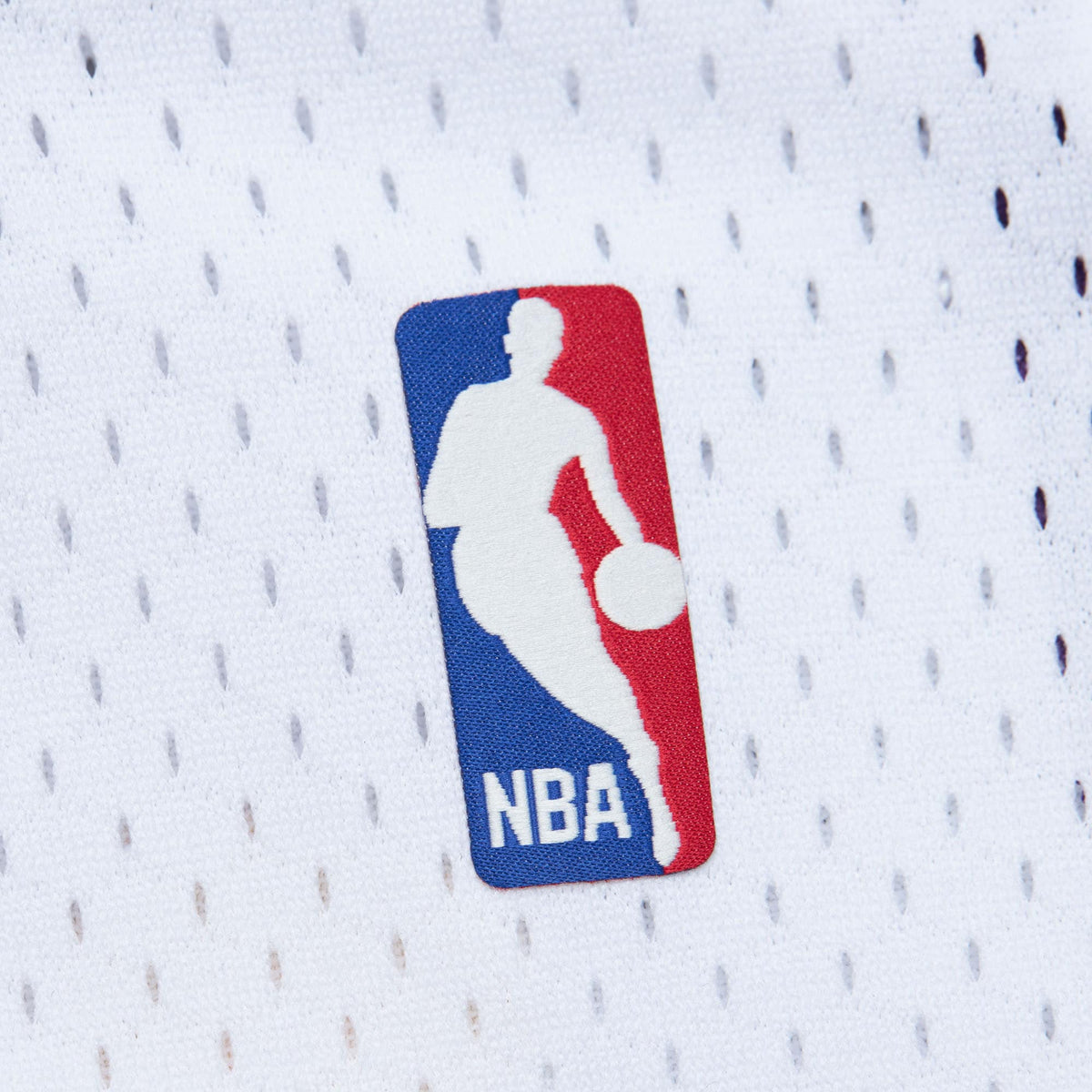 Los Angeles Lakers Mitchell & Ness Swingman Jersey Pau product image 4
