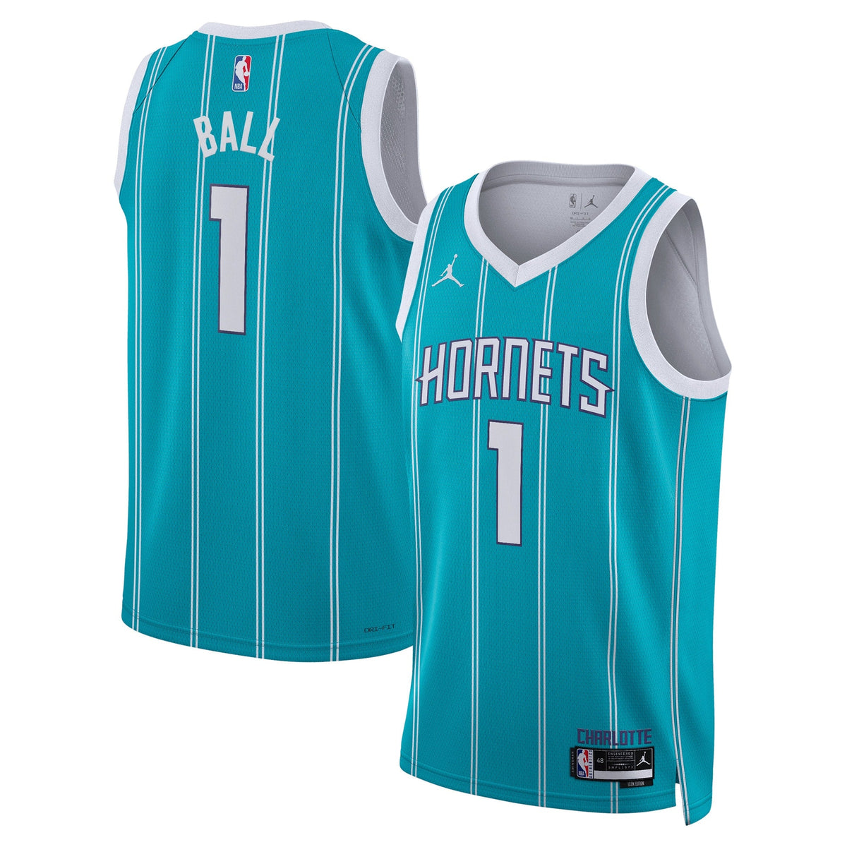 Charlotte Hornets Jordan Brand Icon Edition Swingman Jersey product image 1