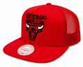 Chicago Bulls Mitchell & Ness NBA Evergreen Trucker Snapback Hat product image 1, provided for visual reference and product
