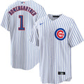 NIKE Men Henry Rowengartner Chicago Cubs White Home Replica Jersey product image 1, provided for visual reference and