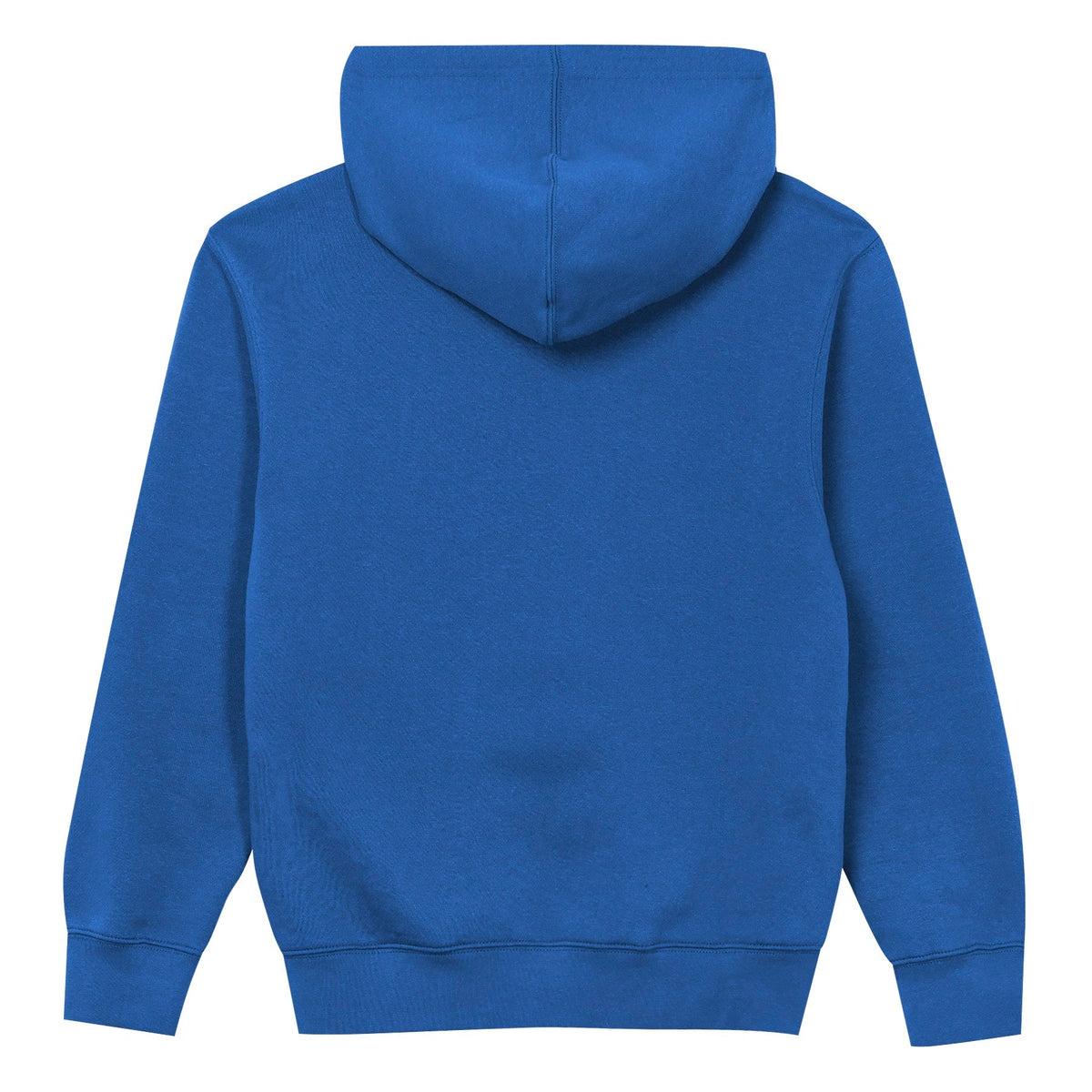 Detroit Lions Youth Back to Basics Blue Hoodie product image 3, provided for visual reference and product detail review