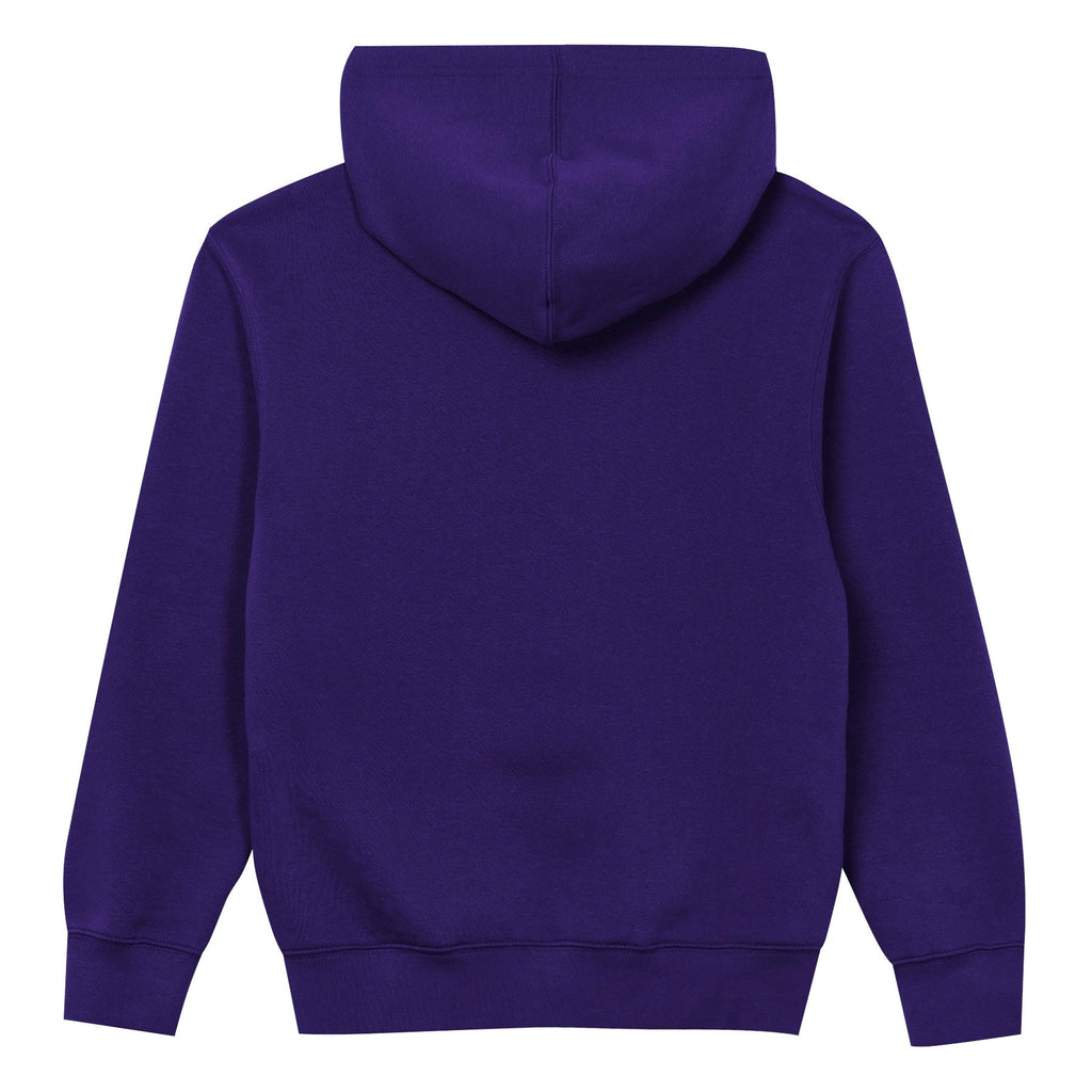 Minnesota Vikings Youth Back to Basics Purple Hoodie product image 3, provided for visual reference and product detail review