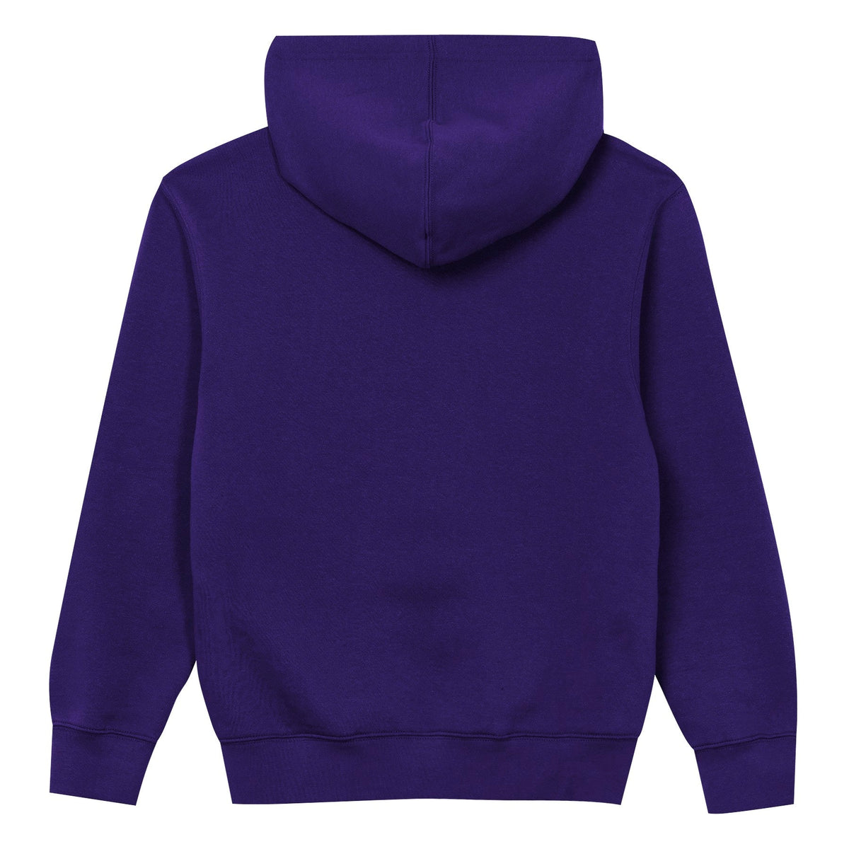 Minnesota Vikings Youth Back to Basics Purple Hoodie product image 3, provided for visual reference and product detail review