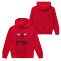 Chicago Bulls Child Back to Basics Red Hoodie product image 1, provided for visual reference and product detail review