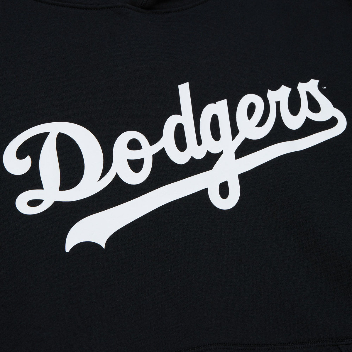 Los Angeles Dodgers Mitchell & Ness Game Time Fleece Hoodie product image 3