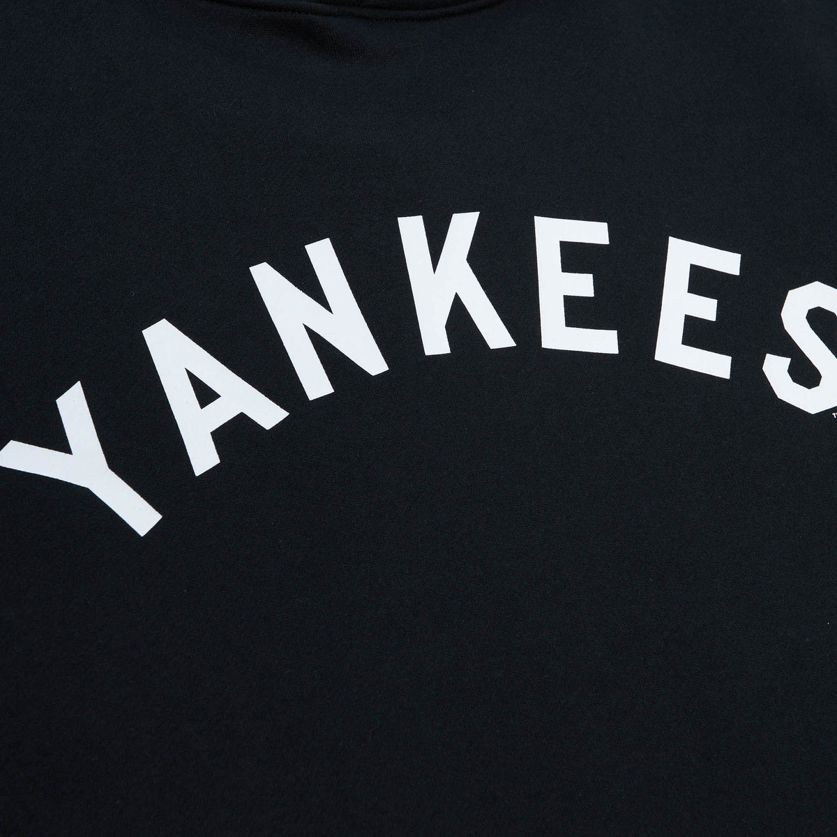 New York Yankees Mitchell & Ness Game Time Fleece Hoodie product image 3