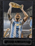 Lionel Messi Argentina 2022 World Cup Plaque product image 1, provided for visual reference and product detail review