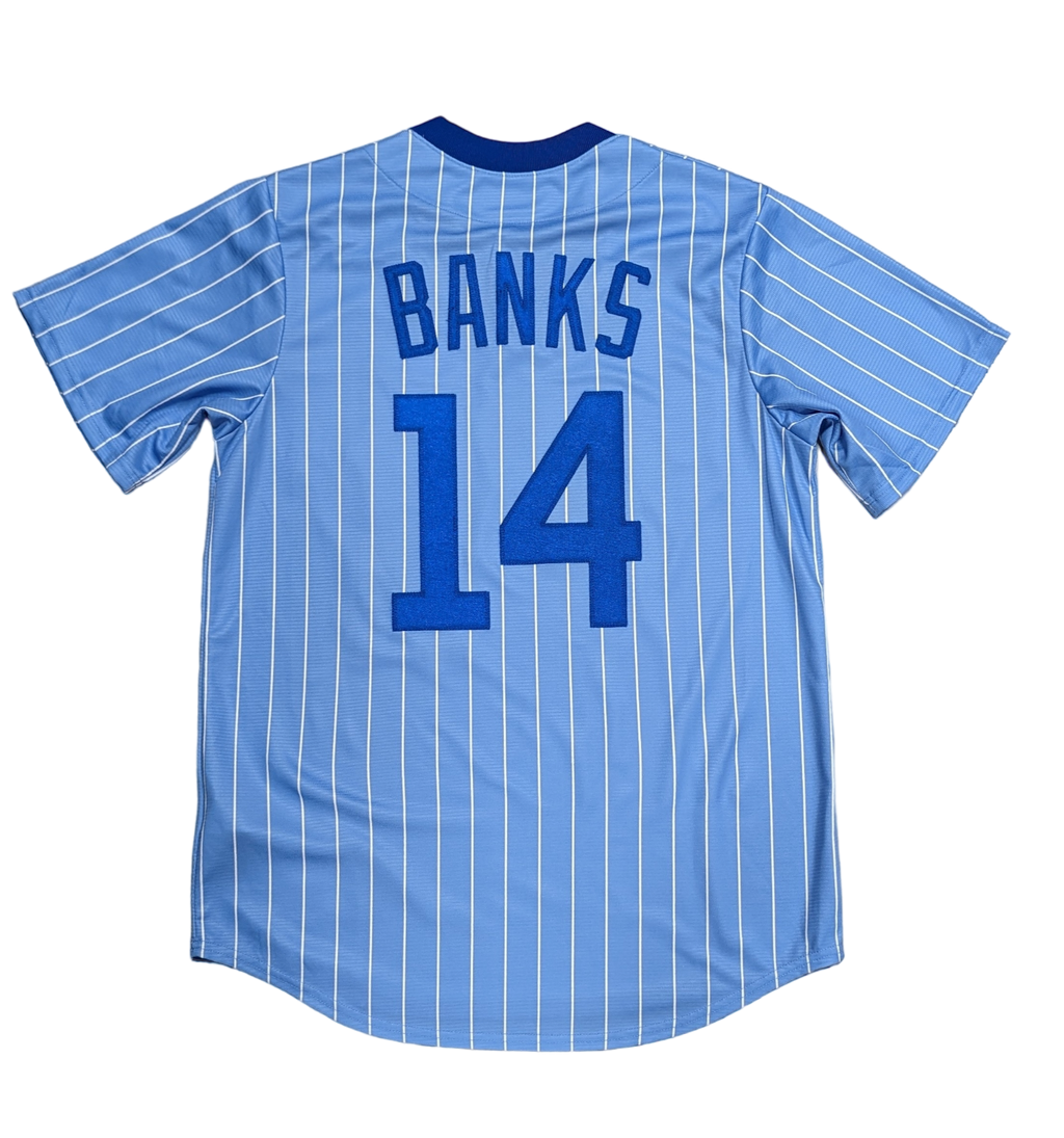 Ernie Banks Chicago Cubs Cooperstown Powder Blue NIKE Replica Jersey for Men product image 3, provided for visual reference