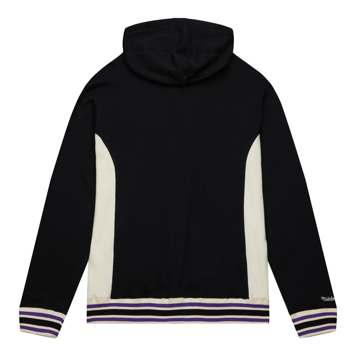 Toronto Raptors Mitchell & Ness Black Team Legacy French product image 2