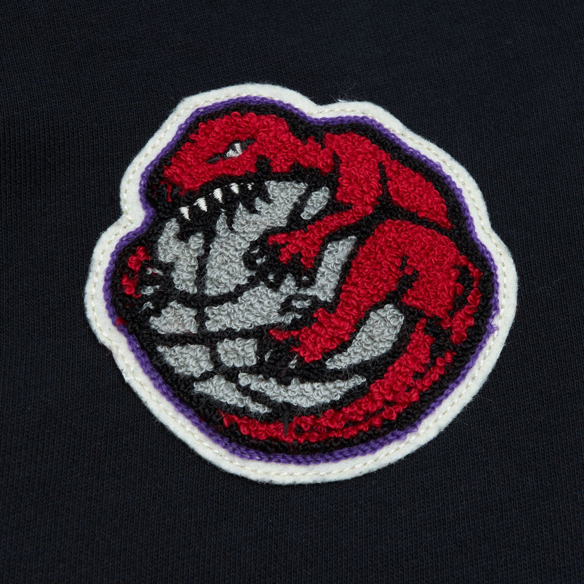 Toronto Raptors Mitchell & Ness Black Team Legacy French product image 4