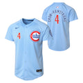 NIKE Youth Chicago Cubs Pete Crow-Armstrong Light Blue 2nd Alternate Limited Replica Jersey product image 1, provided for