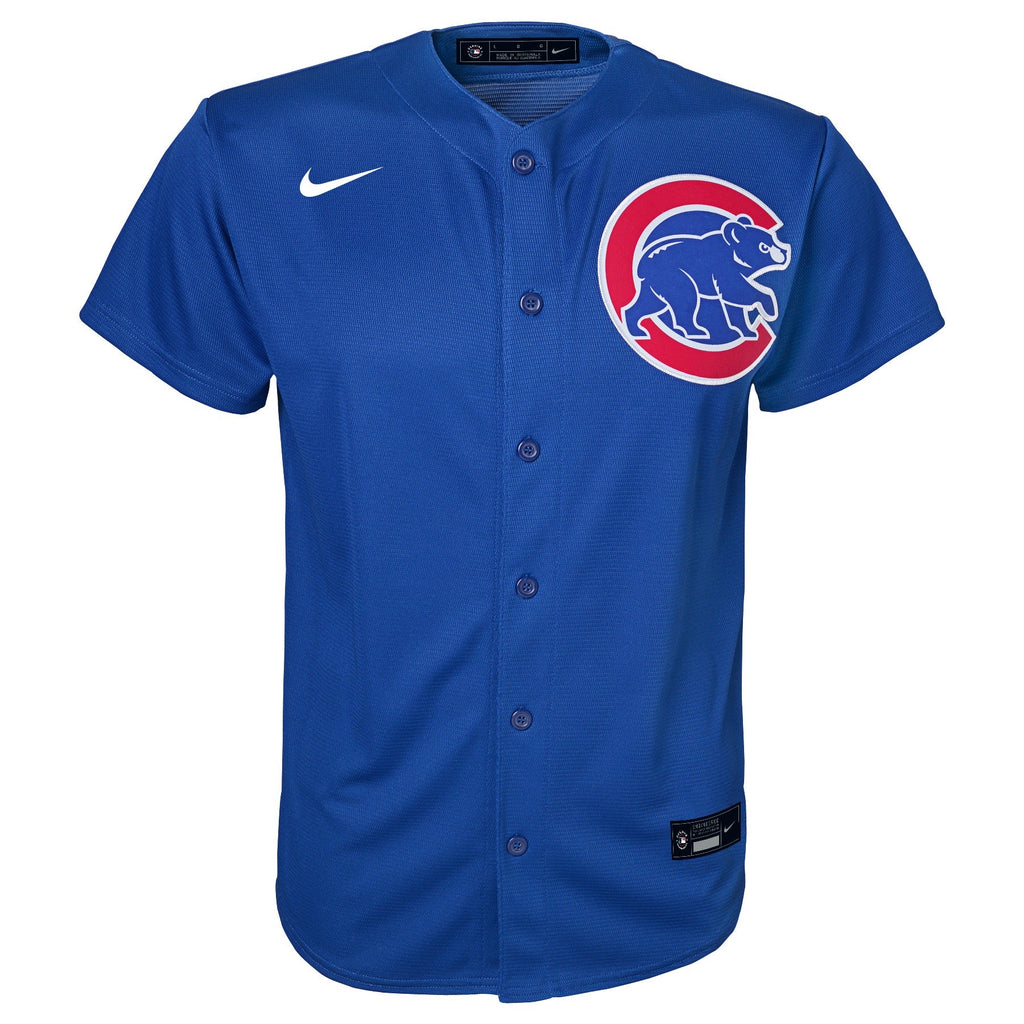 NIKE Youth Dansby Swanson Chicago Cubs Royal Blue Alternate Premium Twill Replica Jersey product image 2, provided for