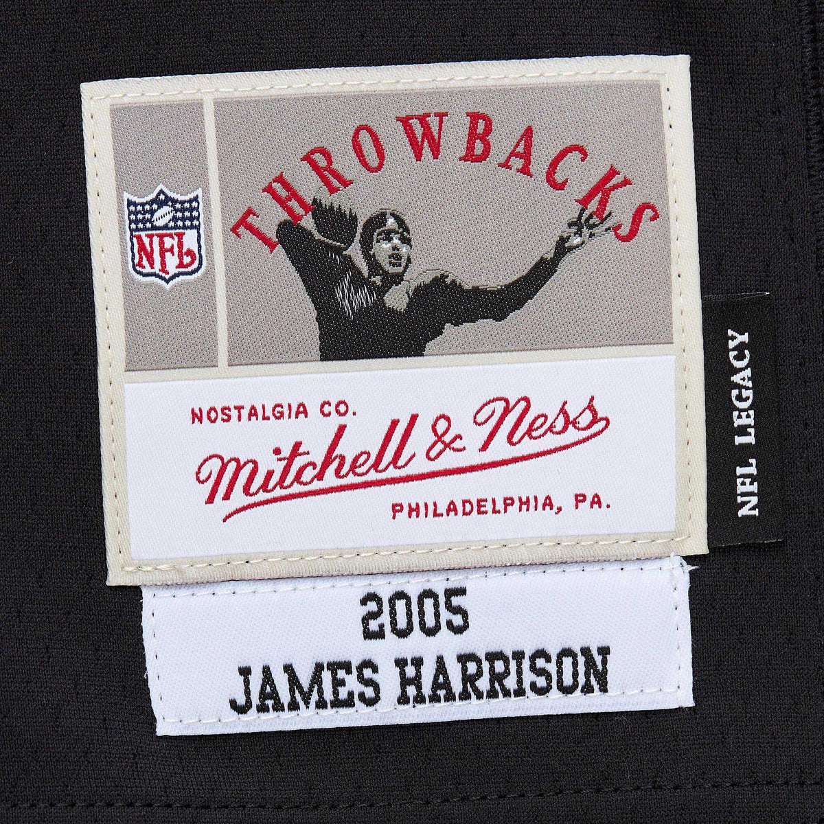 James Harrison Pittsburgh Steelers Mitchell & Ness Black 2005 Legacy Replica Jersey for Men product image 6, provided for