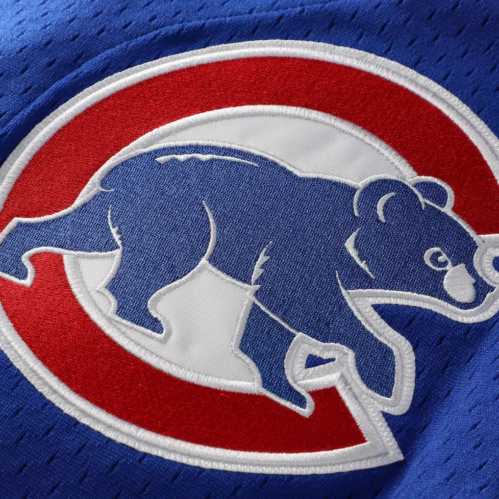Mitchell & Ness Ryne Sandberg Chicago Cubs 1997 Authentic BP Button Down Jersey product image 3, provided for visual