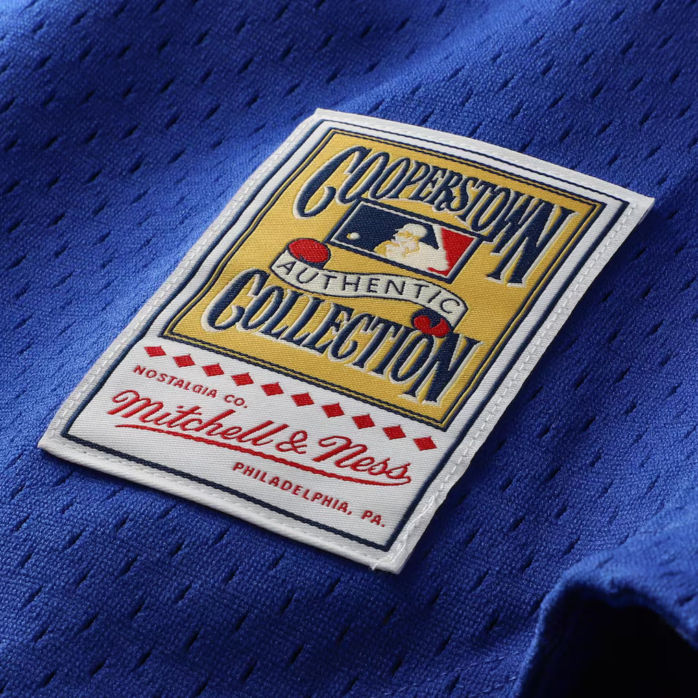 Mitchell & Ness Ryne Sandberg Chicago Cubs 1997 Authentic BP Button Down Jersey product image 7, provided for visual