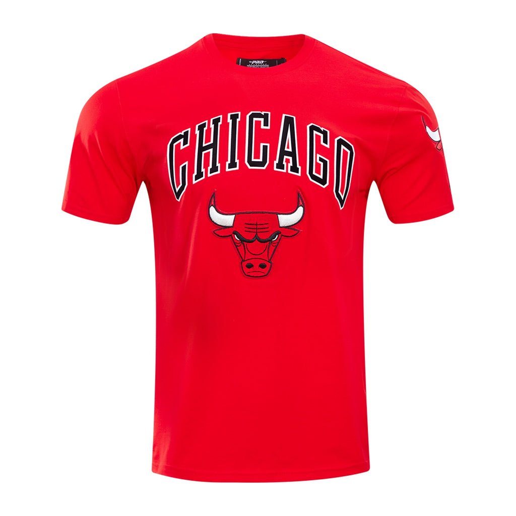 Chicago Bulls Pro Standard Red Classic Bristle Slim-Fit T-Shirt for Men product image 2, provided for visual reference and