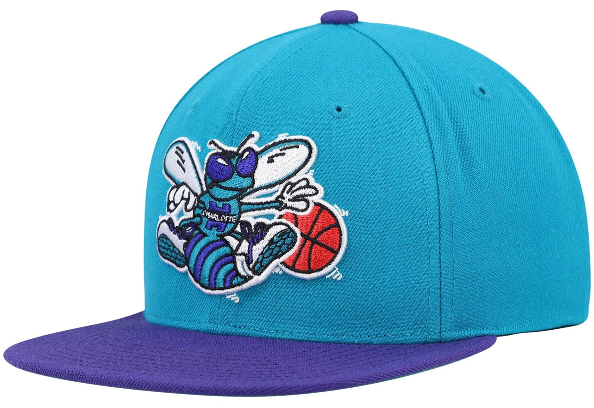 Charlotte Hornets Mitchell & Ness 2 Tone Teal/ Purple Hardwood Classics 2.0 Snapback Adjustable Hat for Men product image 1,