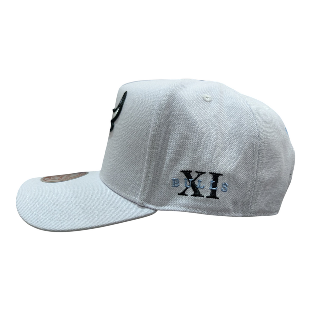 Chicago Bulls Mitchell & Ness NBA Core Jordan XI Pro Snapback Hat product image 5, provided for visual reference and product