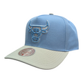 Chicago Bulls Mitchell & Ness NBA Blue Gleam Pro Snapback Hat product image 1, provided for visual reference and product