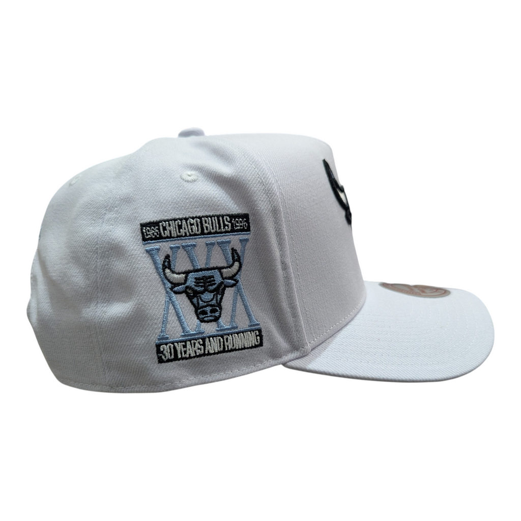 Chicago Bulls Mitchell & Ness NBA Core Jordan XI Pro Snapback Hat product image 4, provided for visual reference and product